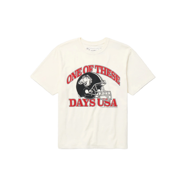 One of These Days "USA" Tee - "Bone"
