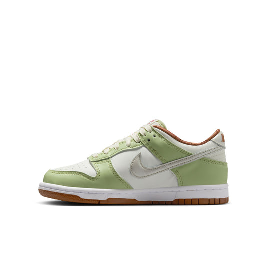 Big Kid's Nike Dunk Low - 