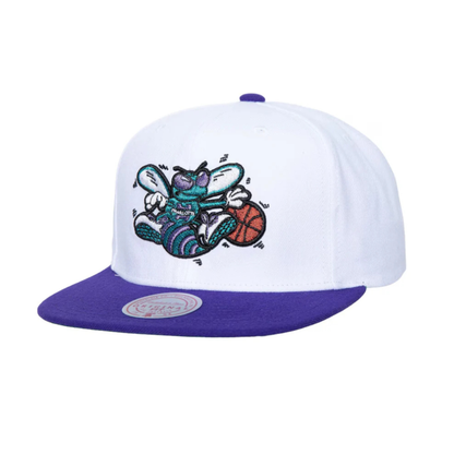 Mitchell & Ness Charlotte Hornets Hardwood Classics Logo Shine Snapback - White/Purple