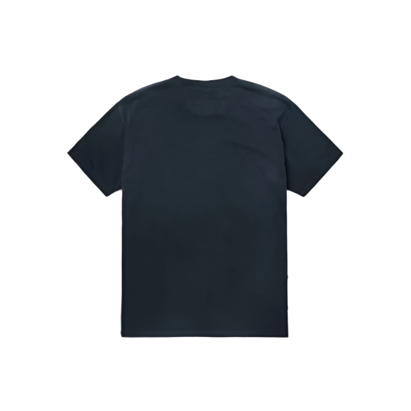 One Of These Days World Champions T-Shirt - Sunfaded Black