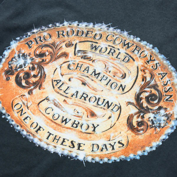 One Of These Days World Champions T-Shirt - Sunfaded Black