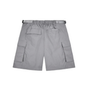 Paper Planes Coastline Cargo Short - Grey