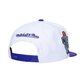 Mitchell & Ness Charlotte Hornets Hardwood Classics Logo Shine Snapback - White/Purple