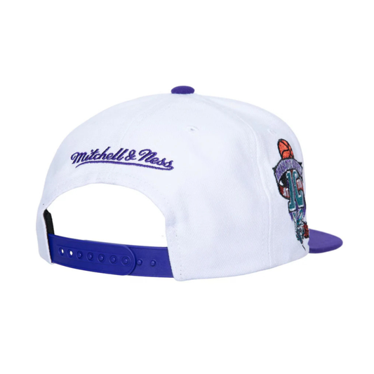 Mitchell & Ness Charlotte Hornets Hardwood Classics Logo Shine Snapback - White/Purple