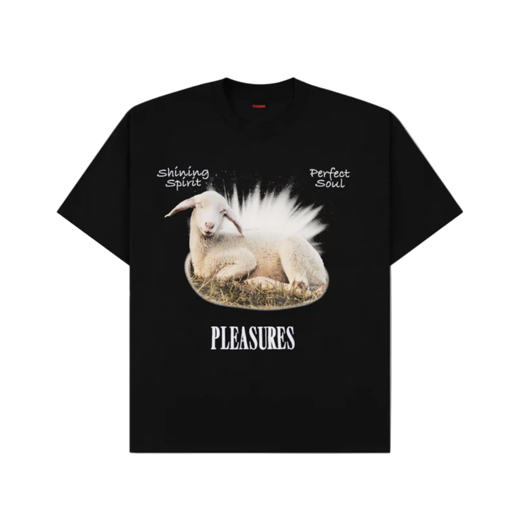 Pleasures Shine T-Shirt - Black
