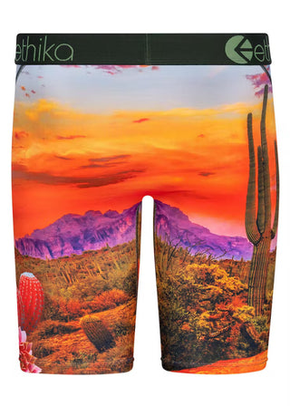 ETHIKA DESERT DOG